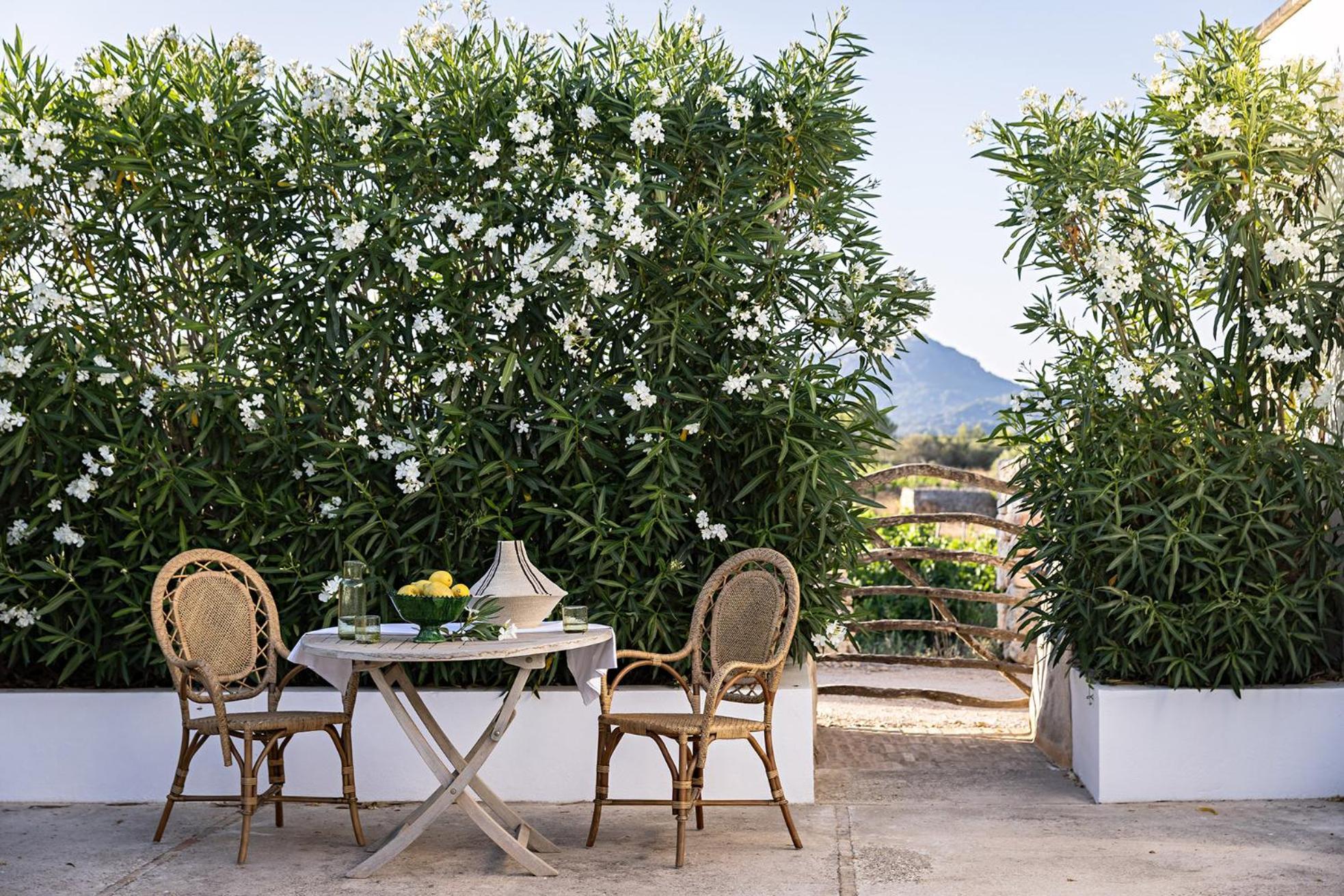 Santa Ponsa Junior Suite Duplex