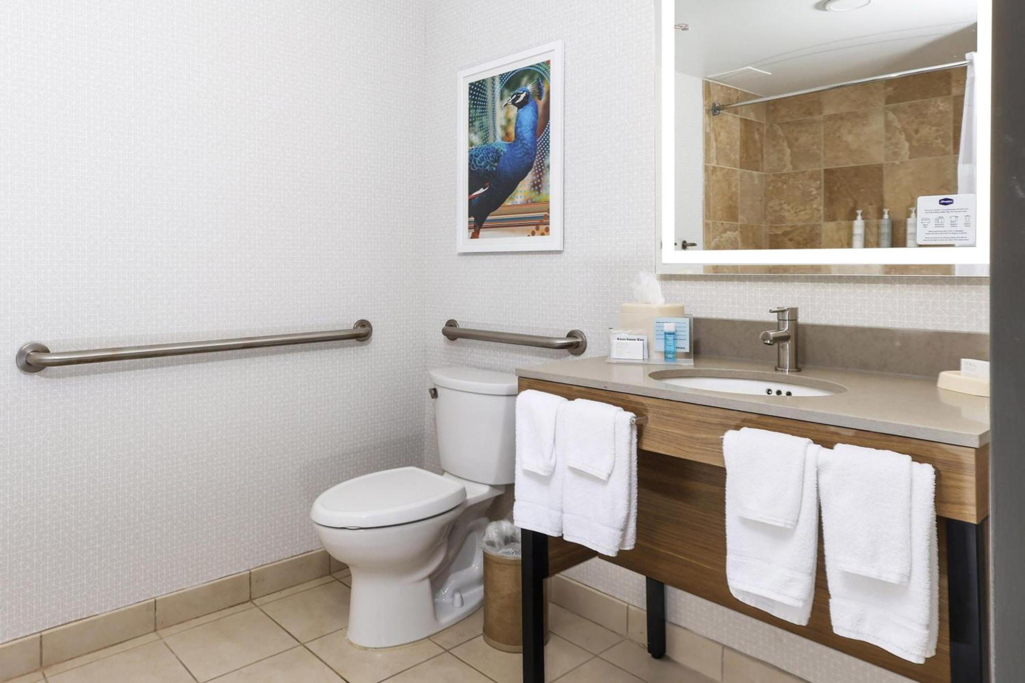 King Room Mobility Access or Non-Smoking