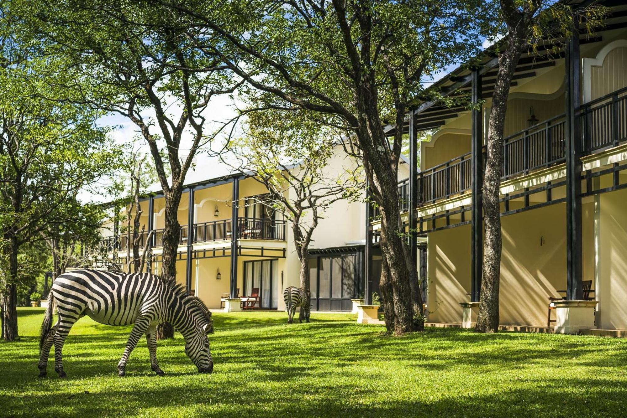 Habitación Executive Jardín