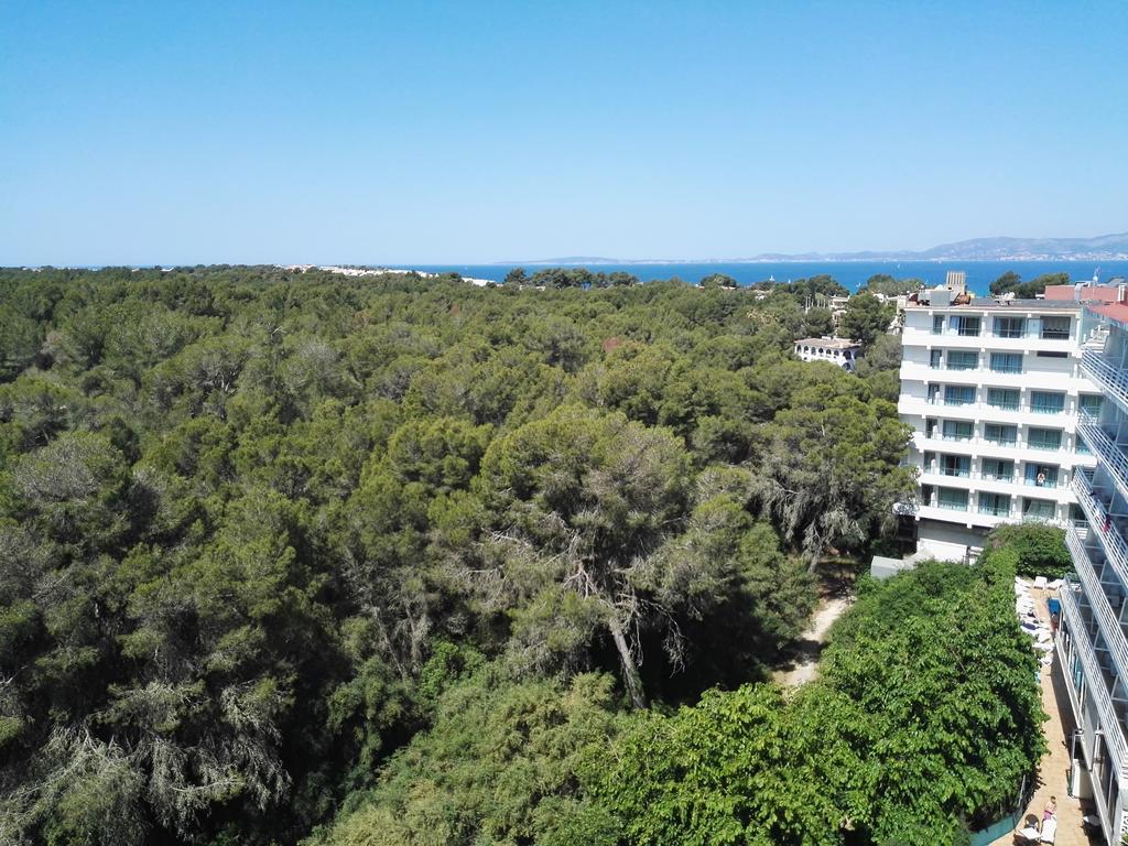 Twin Room with Garden View,403269828:JPEG