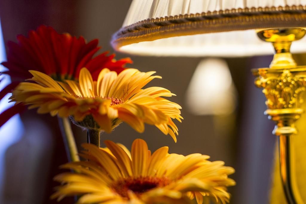 Suite,631100883:JPEG