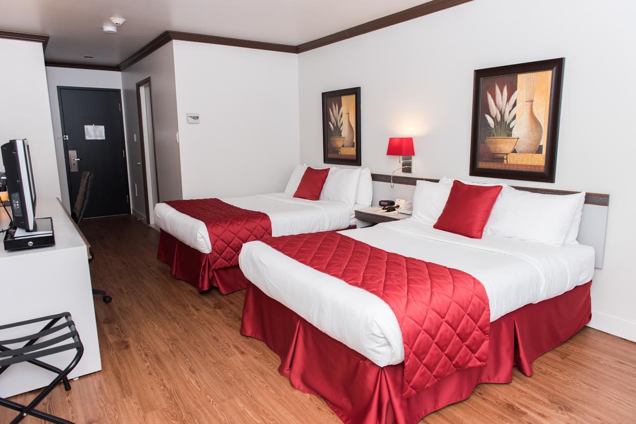 Chambre avec 2 Grands Lits Queen-Size