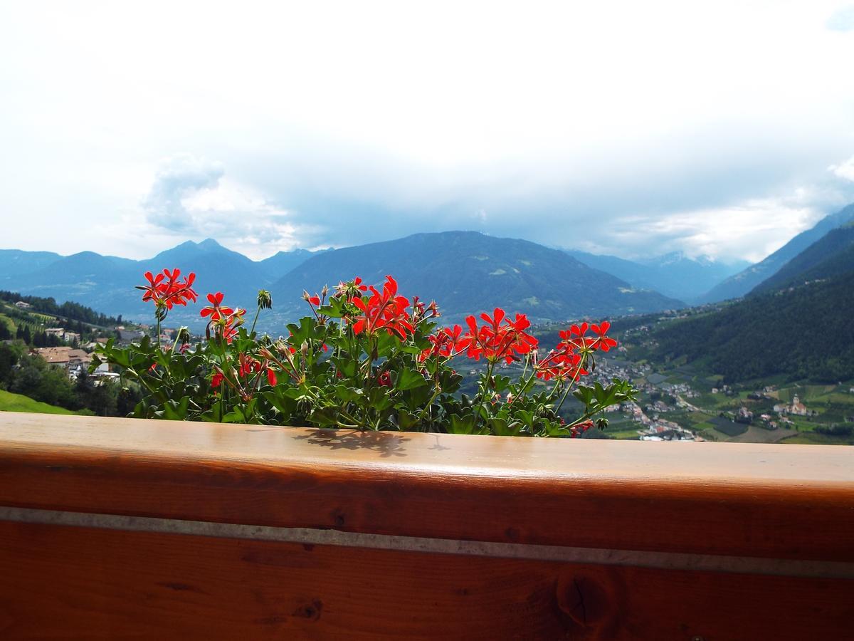 Double Room with Balcony,657000411:JPEG