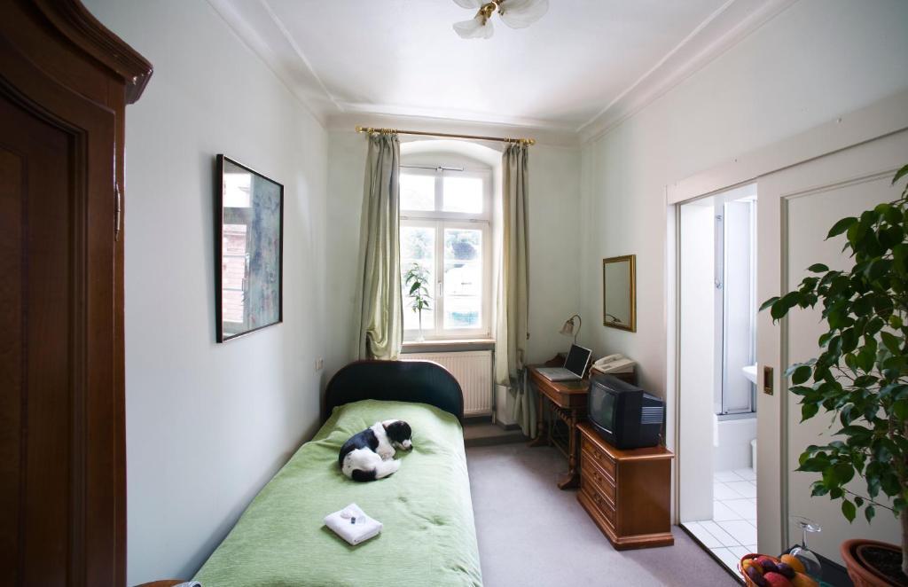 Standard Single Room,66585187:JPEG