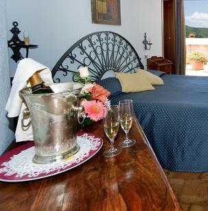 Deluxe Double or Twin Room View