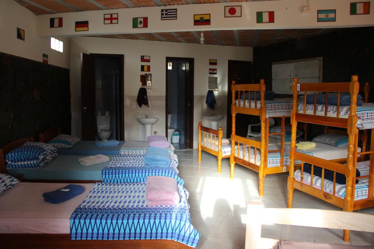 Bunk Bed Mixed Dormitory Room,718467304:JPEG