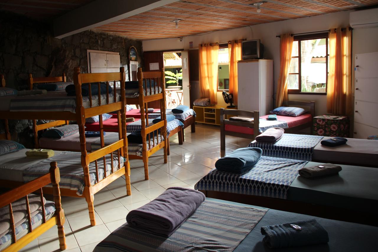 Bunk Bed Mixed Dormitory Room