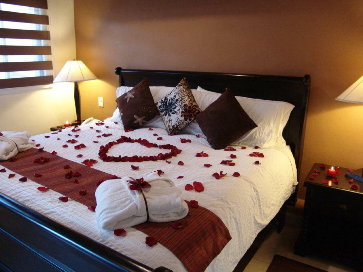 Superior King Room,51192523:JPEG