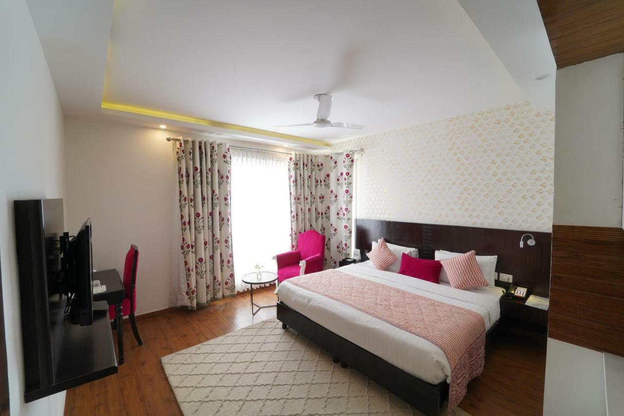 King Studio with Sofa Bed,790573074:JPEG
