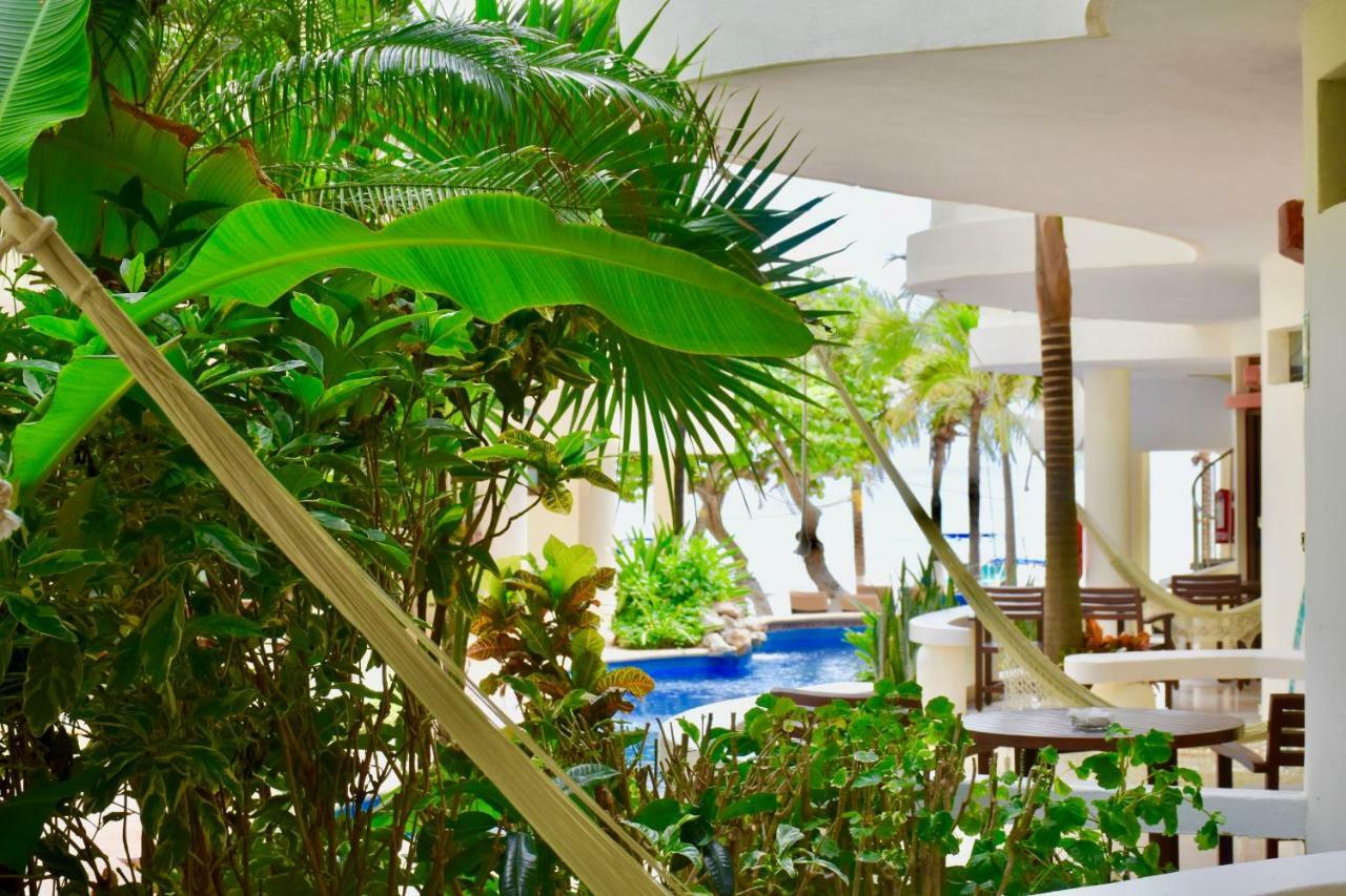 Studio Garden View