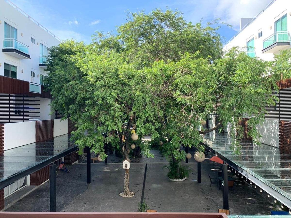 Apartment Terrace