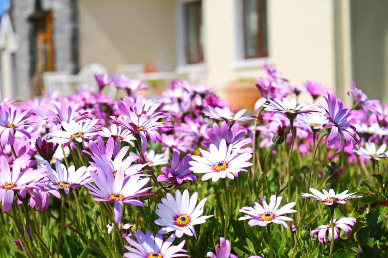Two-Bedroom Apartment with Garden View,1687527455:JPEG