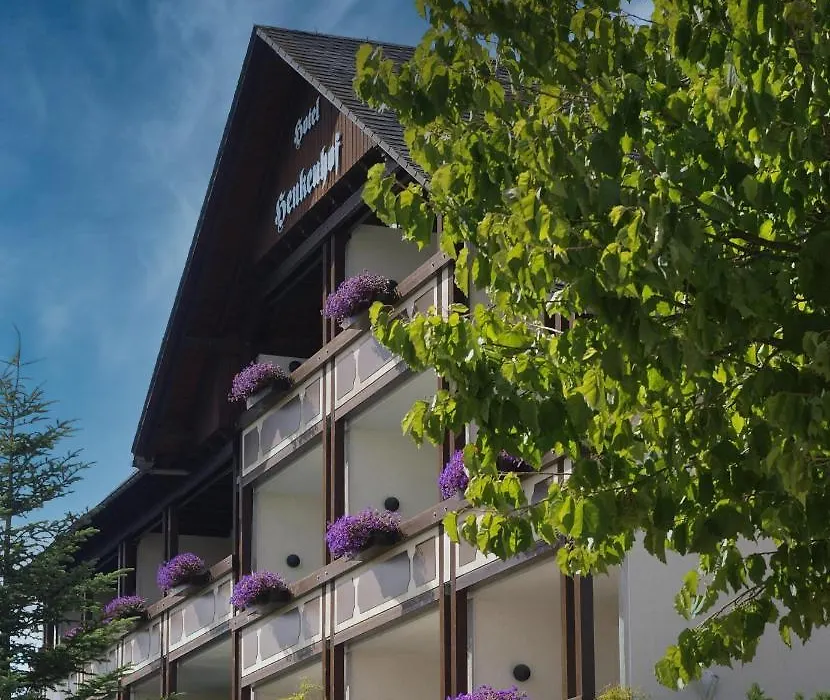 Landhotel Henkenhof Willingen-1