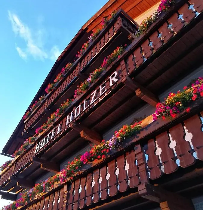 Hotel Holzer-1