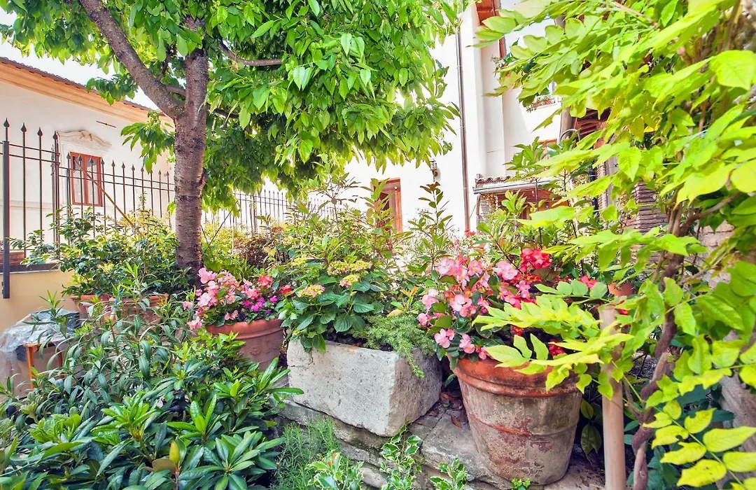 B&B BONE NOVELLE dimora storica palazzo zuzi-1