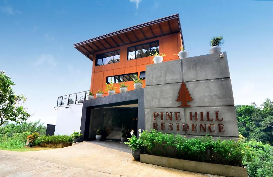 Pine Hill Residence-1