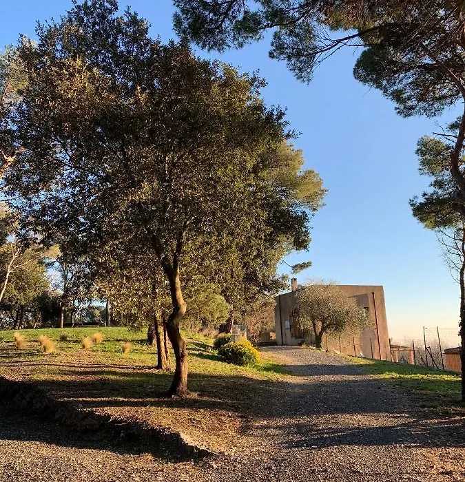 Torre Mendari-1