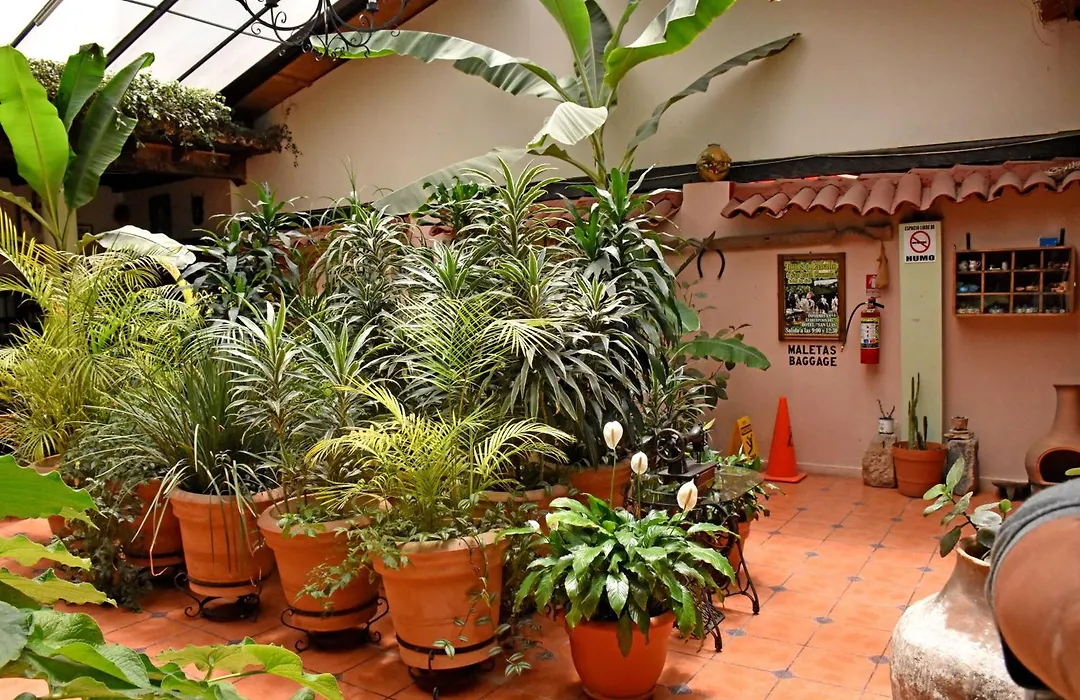 Hotel San Luis-1