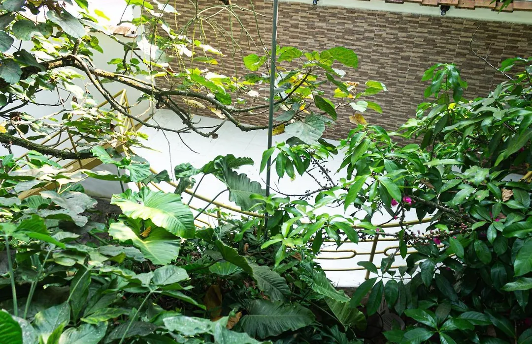 Green House Tarapoto-1