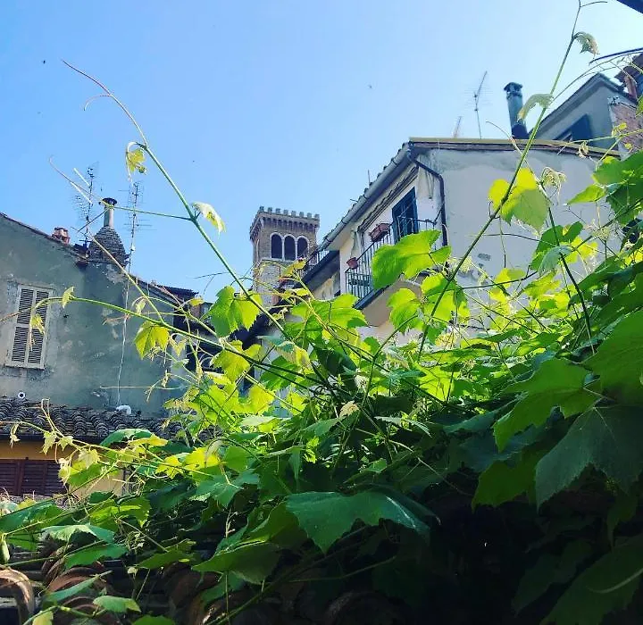 B&B Uva Fragola-1