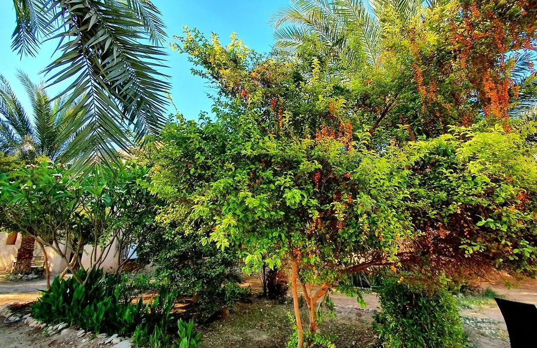 Sekhmet Retreat Centre-1