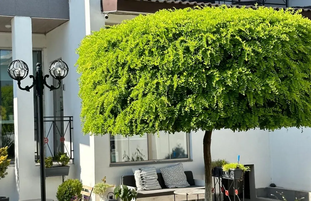 Garden Lounge Hotel-1