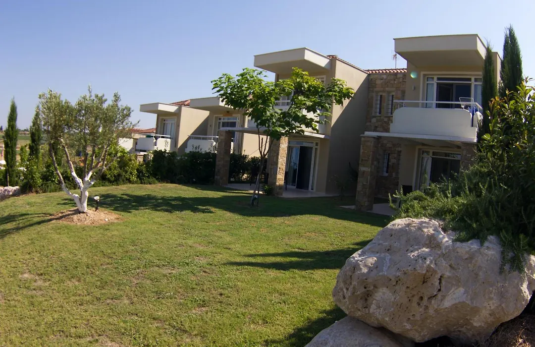 Sunny Hill-1