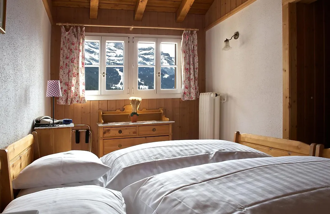 Historic Hotel Falken-1