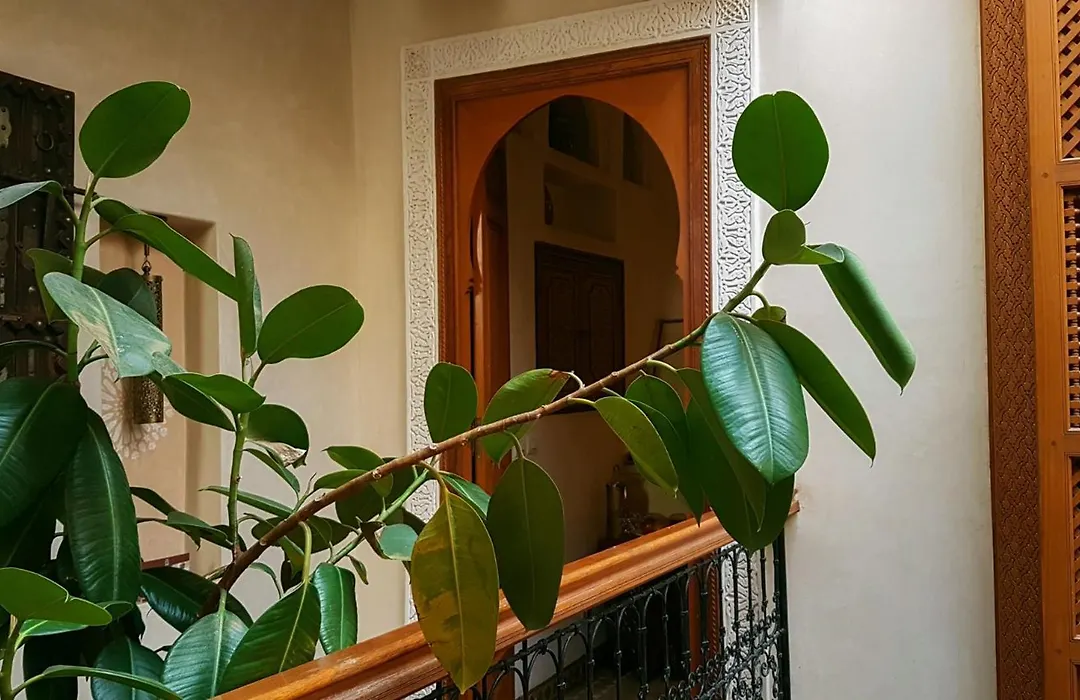 Riad Gallery 49 & Spa-1