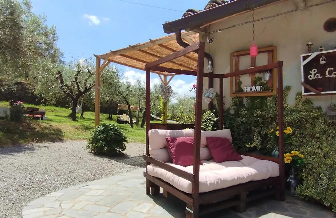 La Casa Tra Gli Ulivi-1