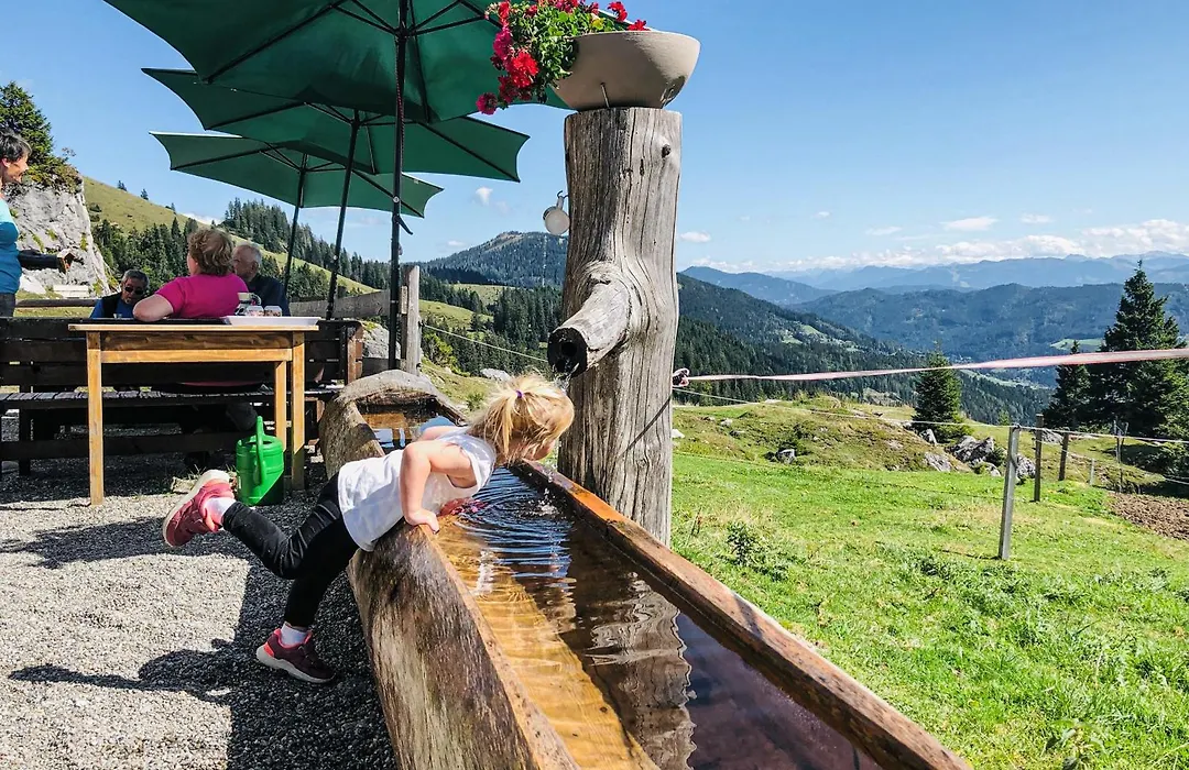 Hotel-Restaurant Bike&Snow Lederer-1