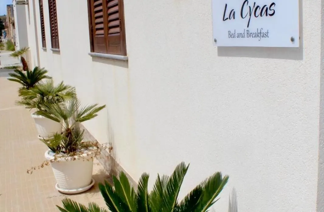 B&B La Cycas-1