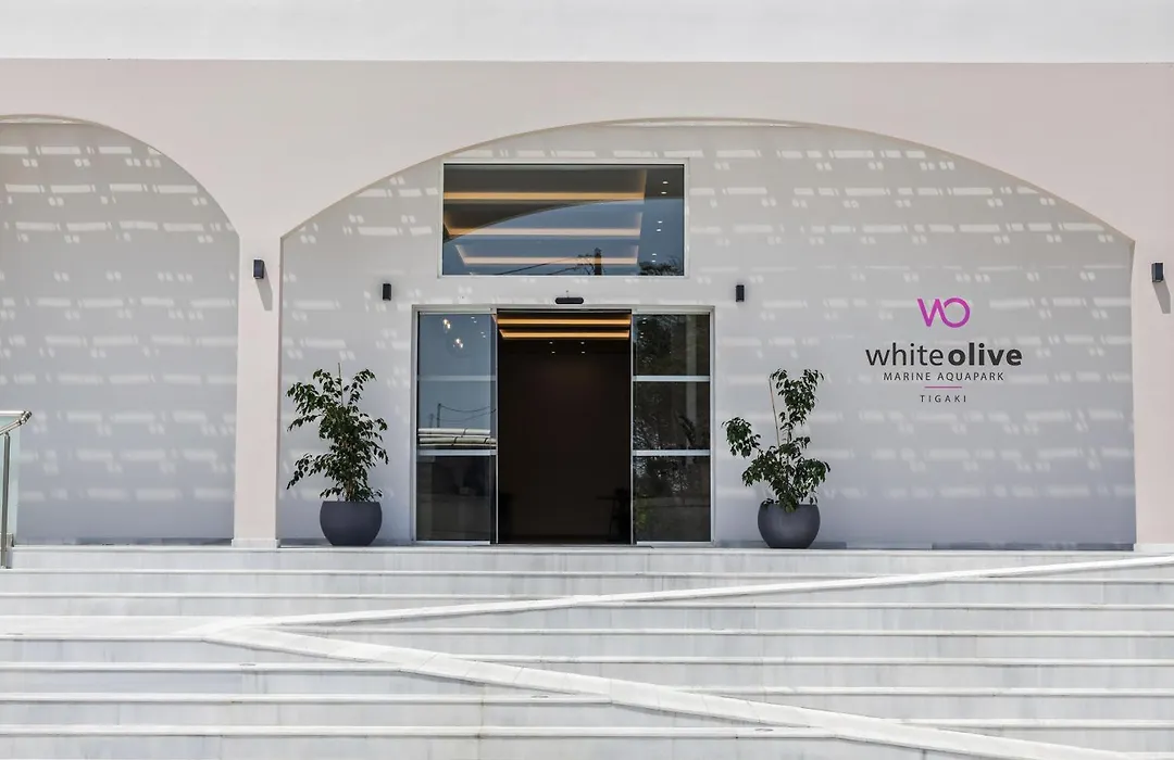 White Olive Marine Aquapark-1
