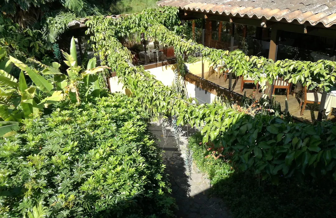 Hotel Las Farolas-1
