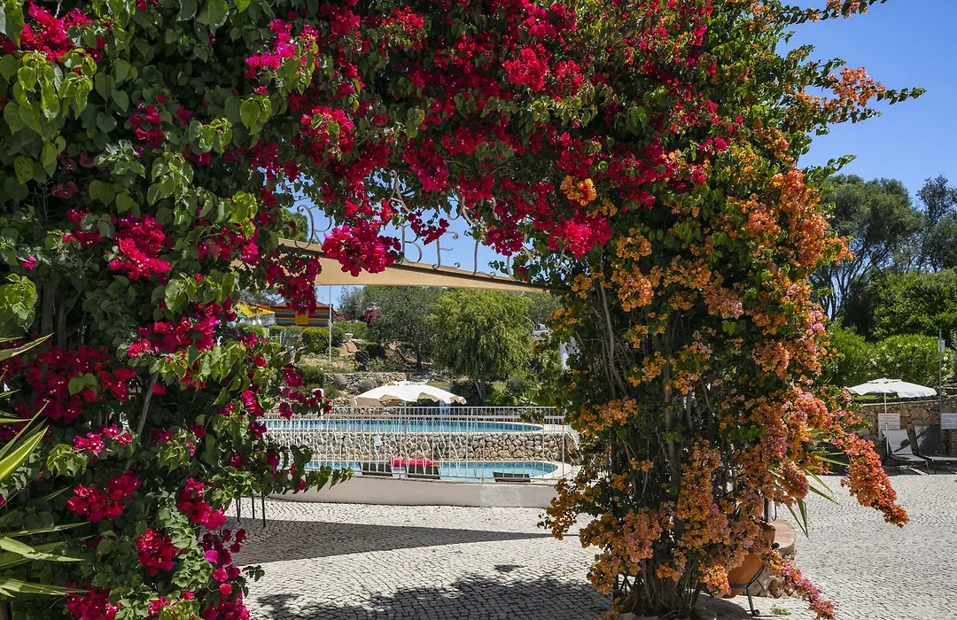 Quinta Do Paraiso - Al-1