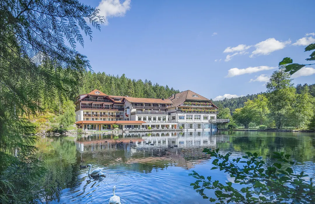 Hotel Langenwaldsee-1