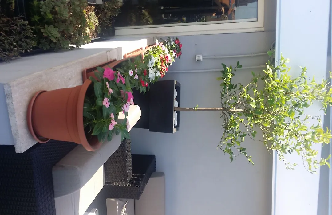 Hotel Gravina San Pietro-1