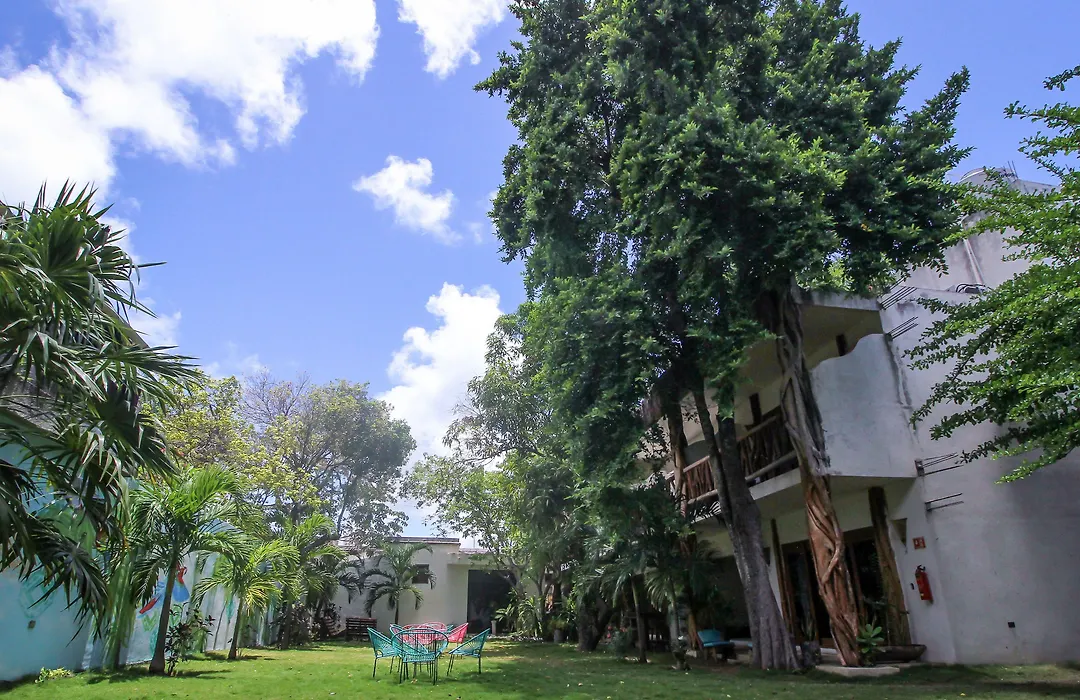 Eos Wellness By Amazonia-1