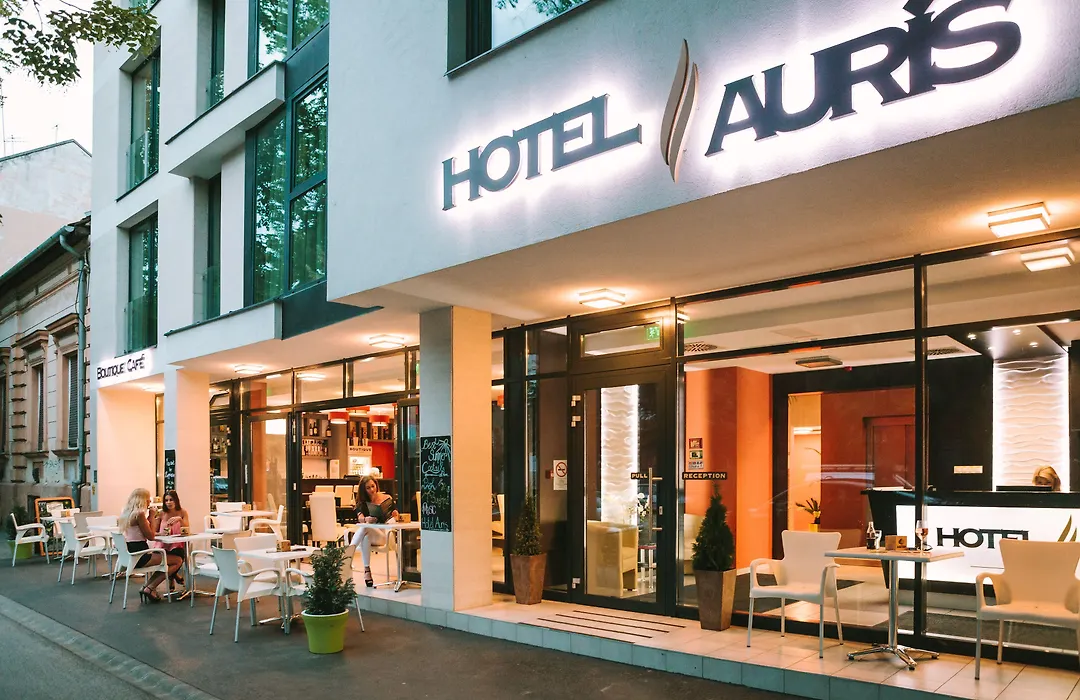 Hotel Auris-1