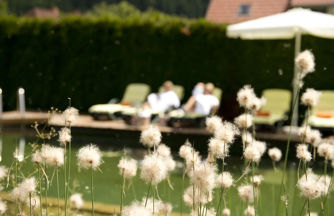 Hotel Rosenhof Murau-1