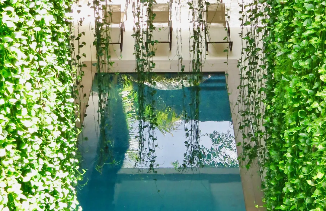 Palmarena Rooms & Residences - Long Stay Comfort With Parking, Sauna, Gym & Pool - Steps From 5Th Avenue-1