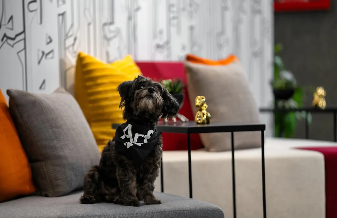Aloft By Marriott New York Chelsea-1
