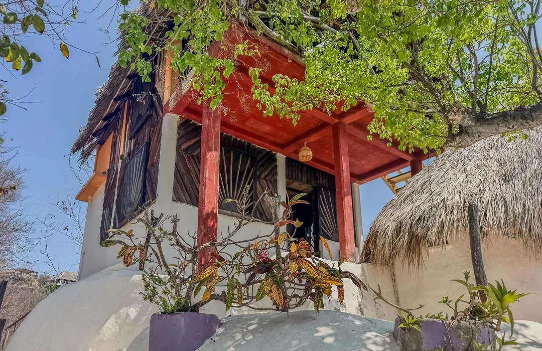 Shambhala Vision-1