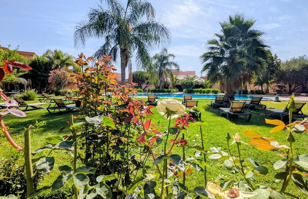 Las Palmeras Guest House-1