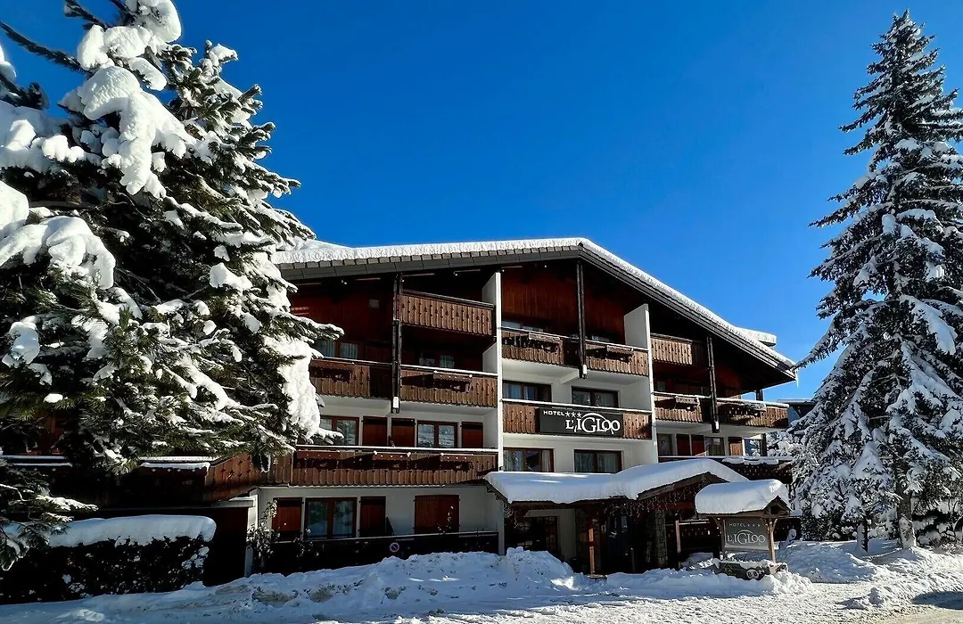Hotel Igloo-1