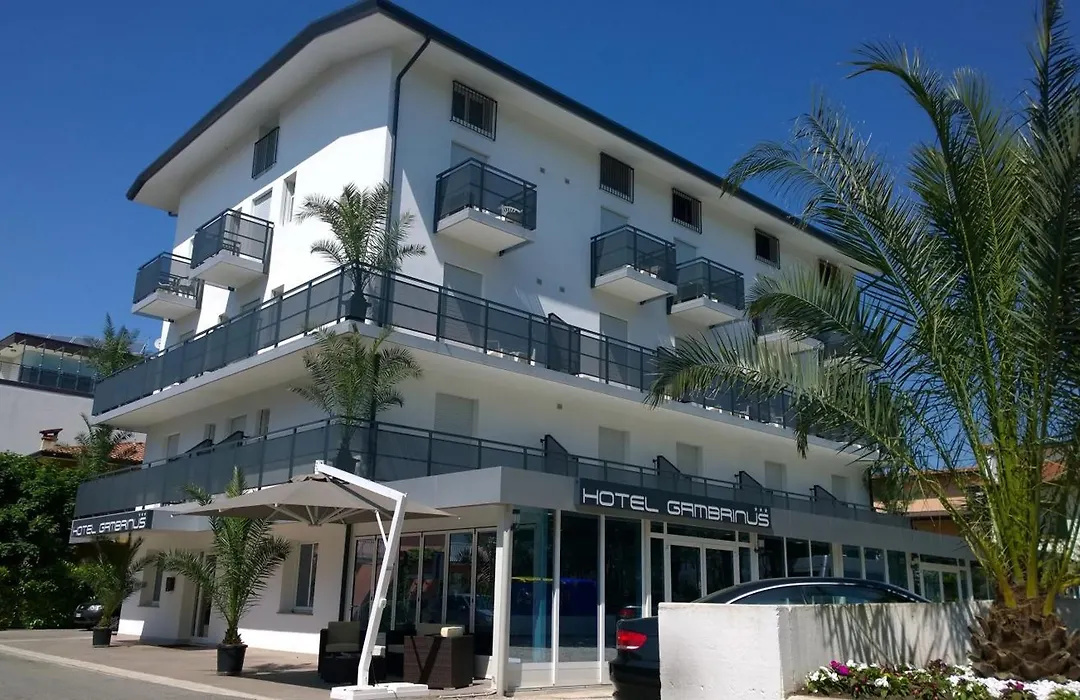 Hotel Gambrinus-1