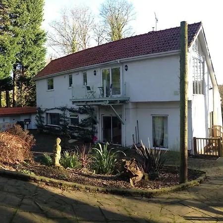 Thornybank-2