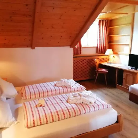 Hotel Holzer-3