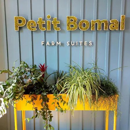 Les Suites De Petit Bomal-3