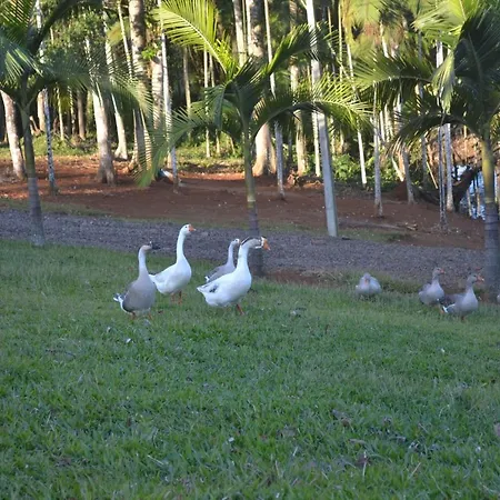 Pousada Di Venezia - Hotel Fazenda-3
